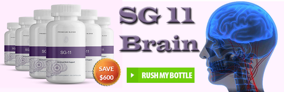 sg-11-brain